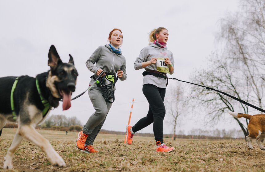 Благотворительный забег с собаками "Быстрый пес" прошел в Битцевском парке 10 фото