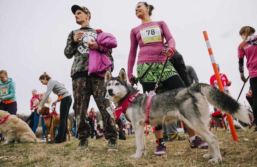 Благотворительный забег с собаками "Быстрый пес" прошел в Битцевском парке 1 фото
