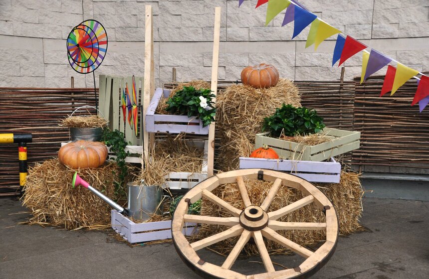 На Дорогомиловском рынке проходит фестиваль MOSCOW CITY BAZAR 11 фото