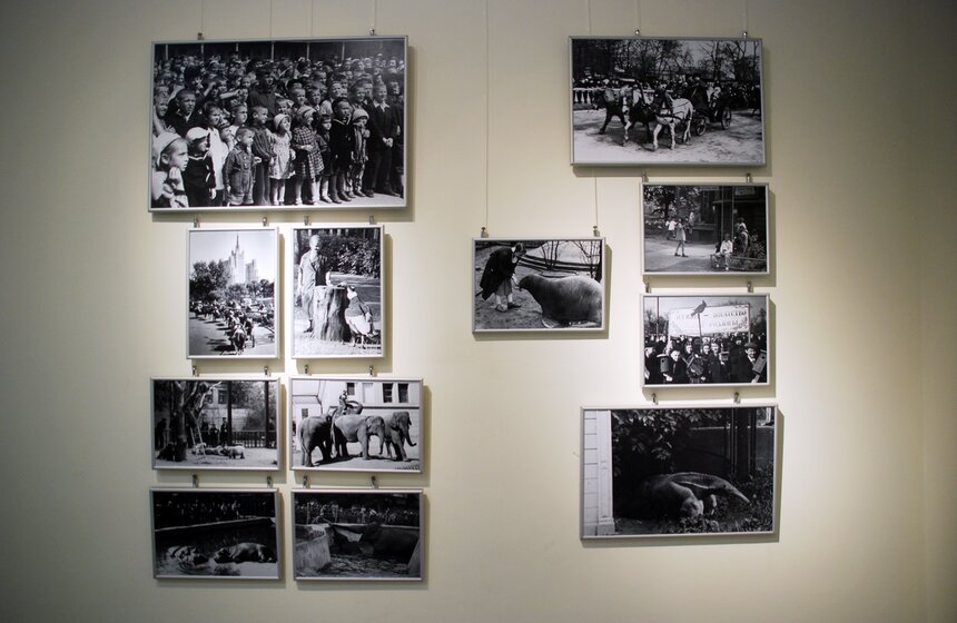 В Москве открывается выставка "Советская реклама зоопарка" 4 фото