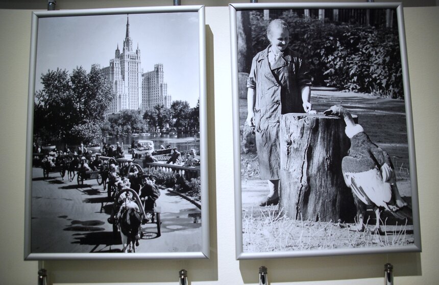 В Москве открывается выставка "Советская реклама зоопарка" 5 фото