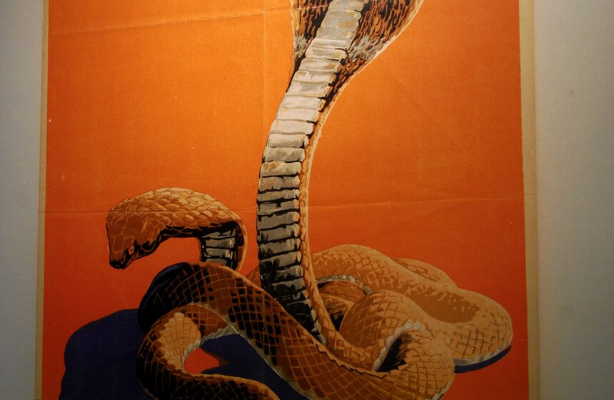 В Москве открывается выставка "Советская реклама зоопарка" 6 фото