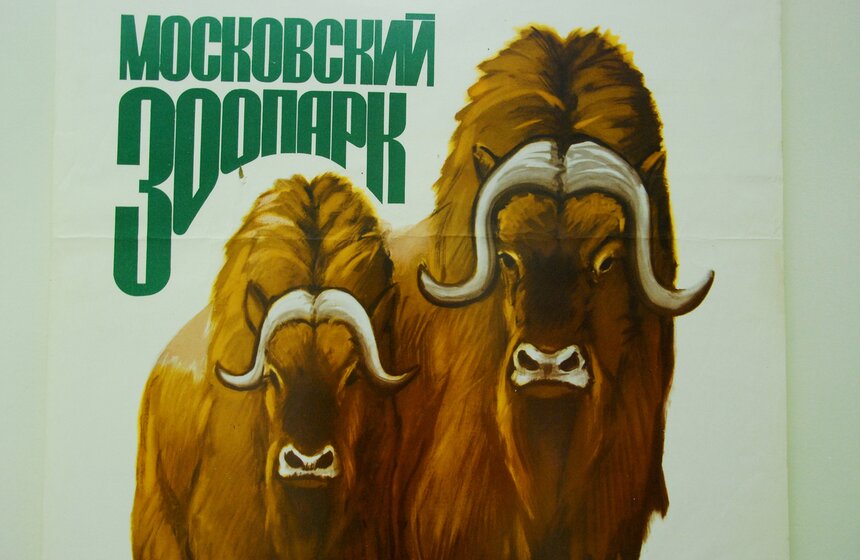 В Москве открывается выставка "Советская реклама зоопарка" 9 фото