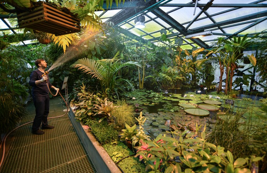 Работа Аптекарского огорода во время режима самоизоляции 22 фото