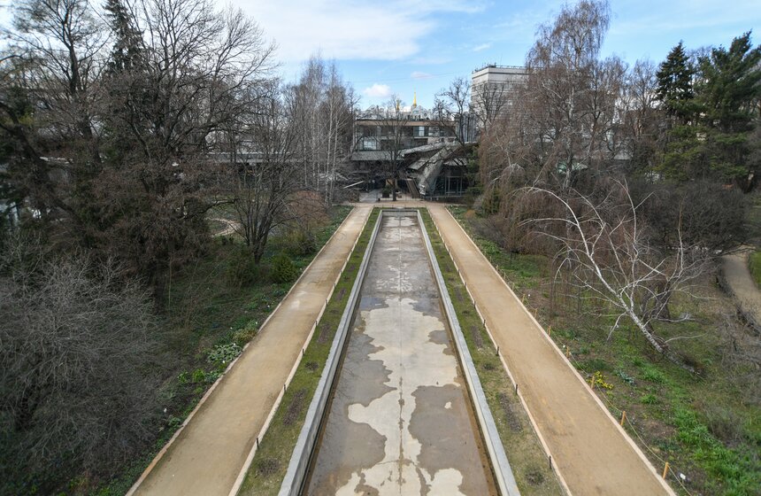 Работа Аптекарского огорода во время режима самоизоляции 27 фото