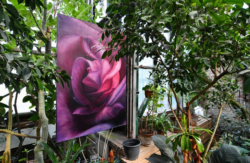 Работа Аптекарского огорода во время режима самоизоляции 17 фото