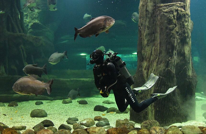 Как работает "Москвариум" в период временного закрытия 3 фото