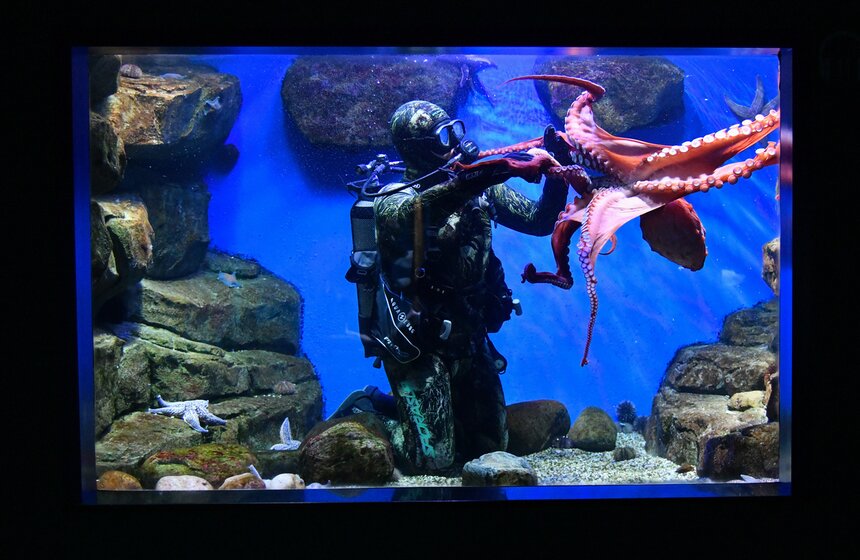 Как работает "Москвариум" в период временного закрытия 5 фото