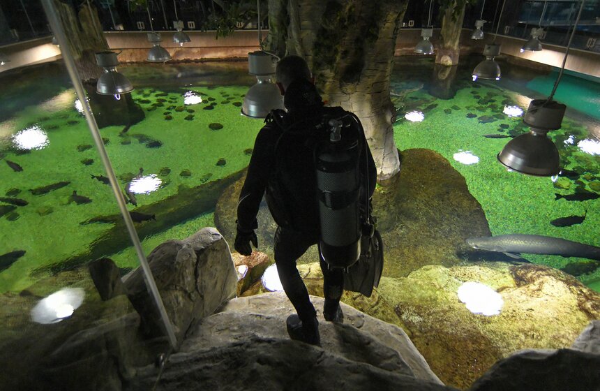 Как работает "Москвариум" в период временного закрытия 1 фото