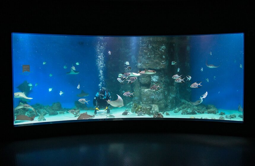 Как работает "Москвариум" в период временного закрытия 20 фото