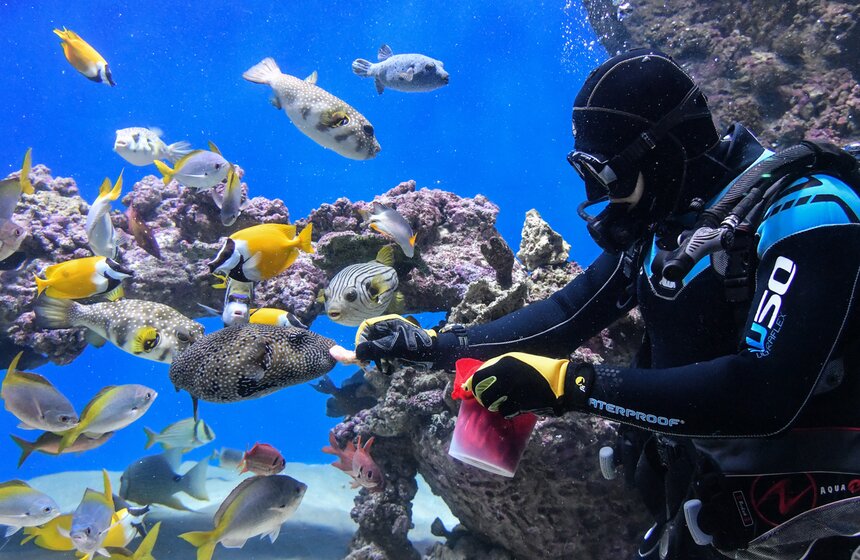 Как работает "Москвариум" в период временного закрытия 18 фото