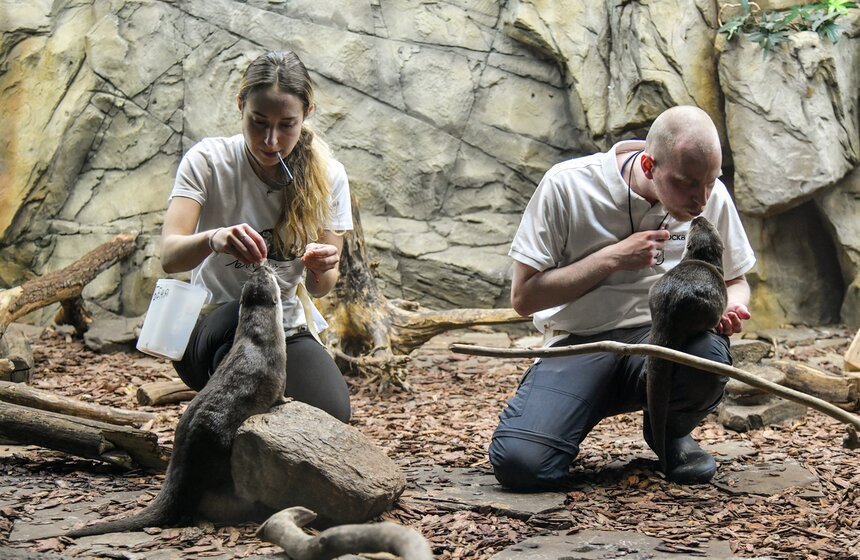 Как работает "Москвариум" в период временного закрытия 6 фото