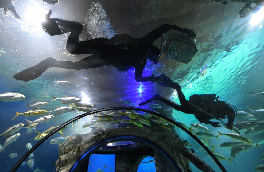 Как работает "Москвариум" в период временного закрытия 23 фото