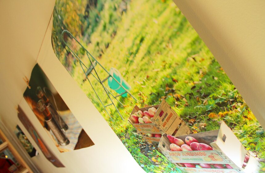 В столице прошел эко-фестиваль "Город-сад" 4 фото