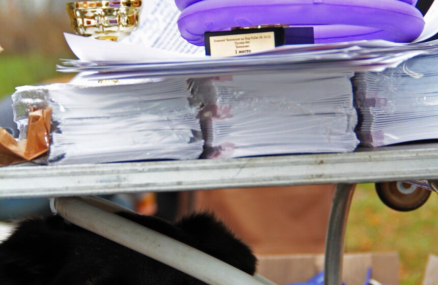 В Москве прошел осенний Чемпионат до Дог-Пуллер 17 фото