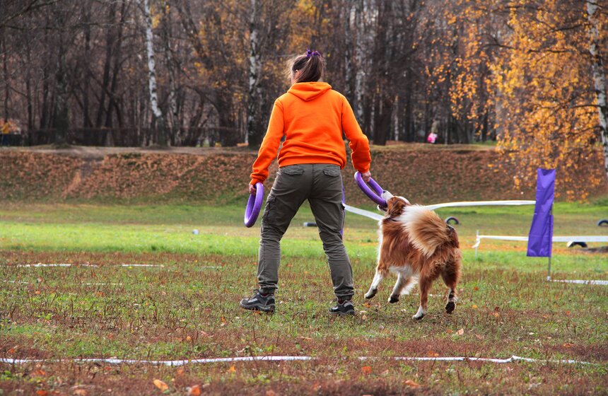 В Москве прошел осенний Чемпионат до Дог-Пуллер 18 фото