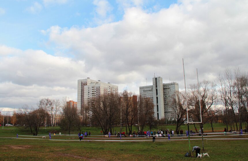 В Москве прошел осенний Чемпионат до Дог-Пуллер 1 фото