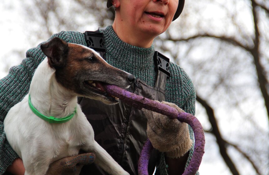 В Москве прошел осенний Чемпионат до Дог-Пуллер 14 фото