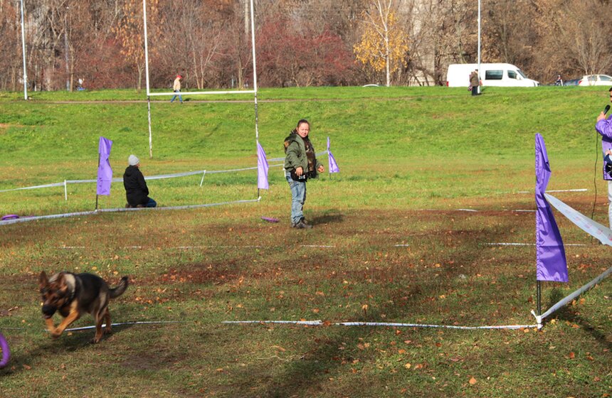 В Москве прошел осенний Чемпионат до Дог-Пуллер 7 фото