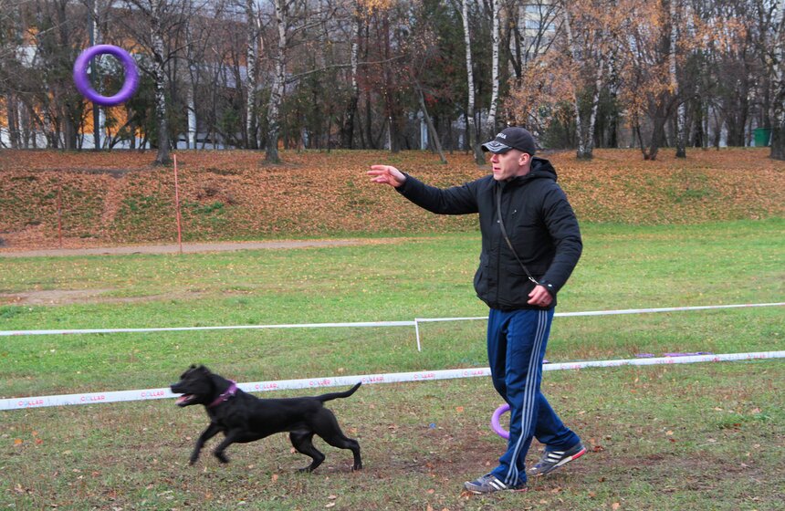 В Москве прошел осенний Чемпионат до Дог-Пуллер 5 фото