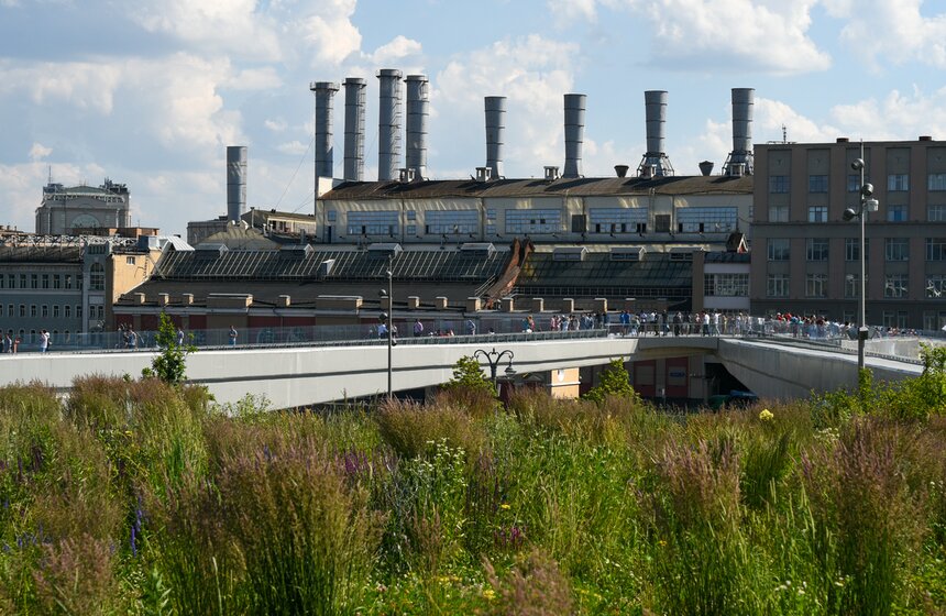 Парк "Зарядье" открылся для посетителей 17 фото