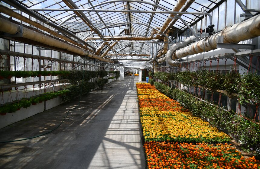 Самые красивые цветники появятся на Поклонной горе, у Триумфальной арки, возле главного здания МГУ и на Бульварном кольце