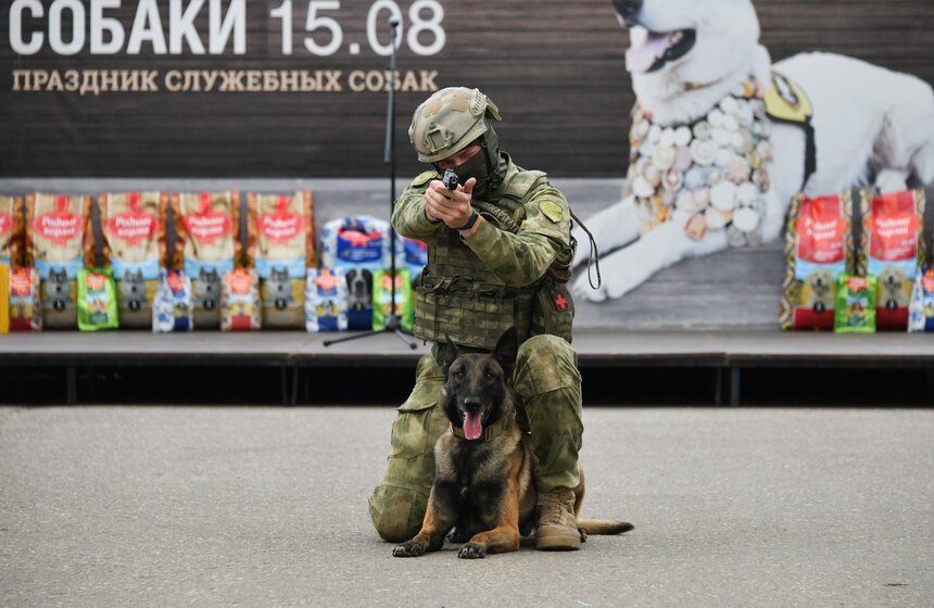 День фронтовой собаки прошел в Музее Победы 9 фото