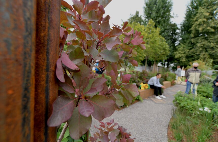 Фестивальная программа ВДНХ открылась работами ландшафтных дизайнеров 14 фото