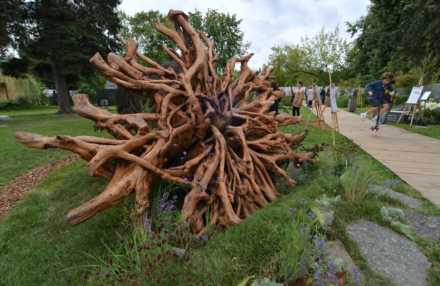 Фестивальная программа ВДНХ открылась работами ландшафтных дизайнеров 12 фото