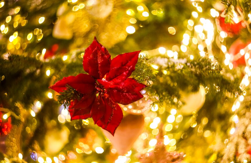 Новогоднее настроение на улицах столицы 17 фото