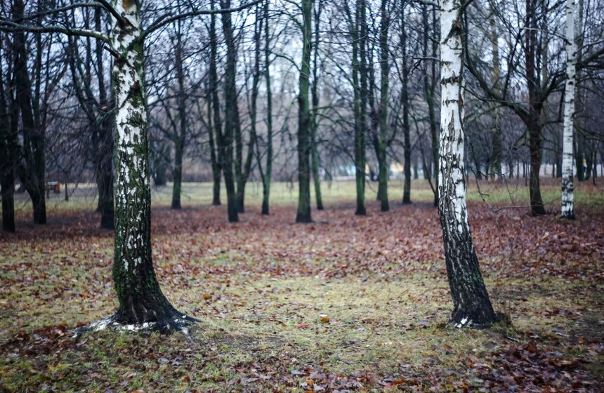 Рекордная погода в декабре в Москве 11 фото