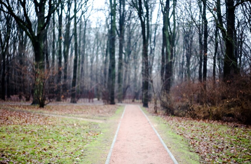 Рекордная погода в декабре в Москве 2 фото