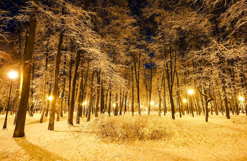 Снежный резерв. В Москве прошел первый в сезоне снегопад 18 фото