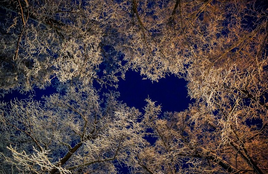 Снежный резерв. В Москве прошел первый в сезоне снегопад 19 фото