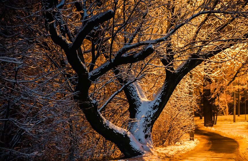 Снежный резерв. В Москве прошел первый в сезоне снегопад 16 фото