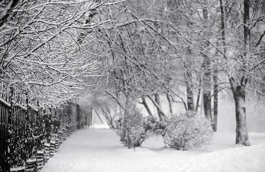 Снежный резерв. В Москве прошел первый в сезоне снегопад 6 фото