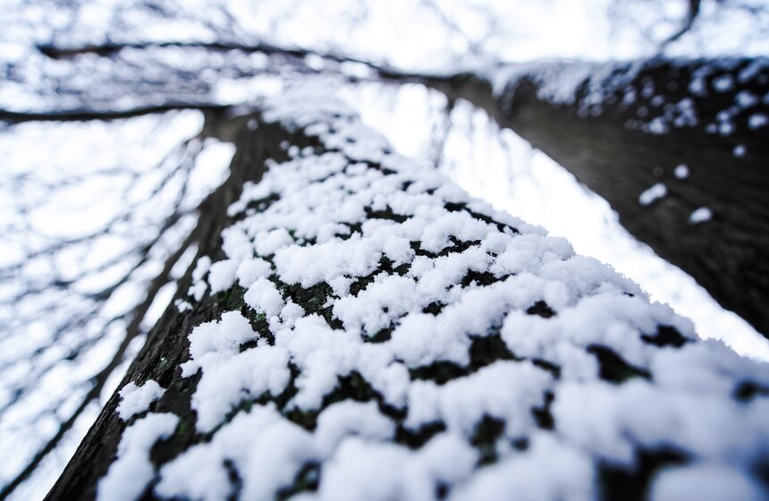 Снежный резерв. В Москве прошел первый в сезоне снегопад 3 фото