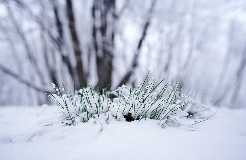 Снежный резерв. В Москве прошел первый в сезоне снегопад 4 фото
