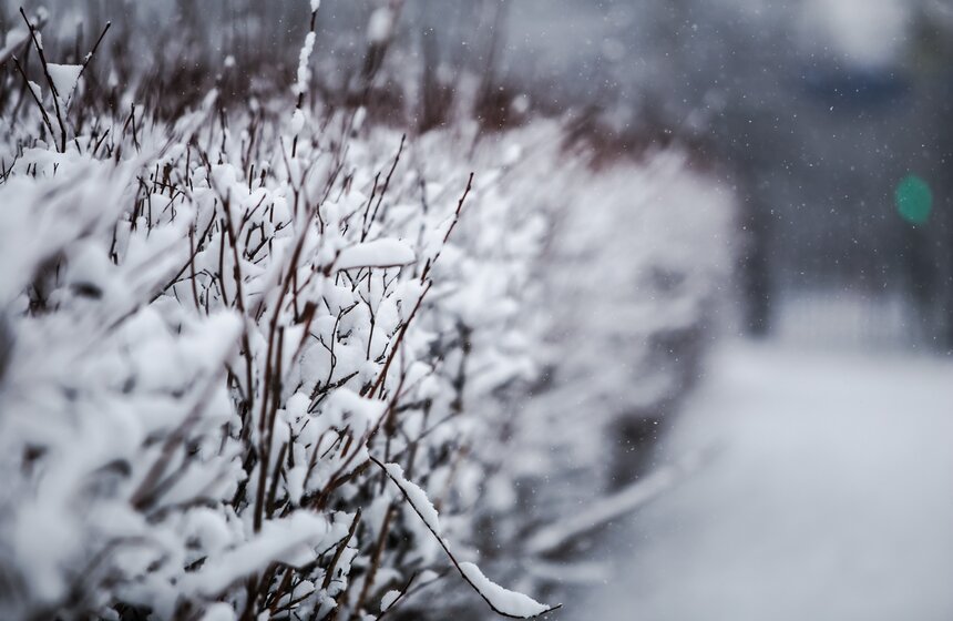 Снежный резерв. В Москве прошел первый в сезоне снегопад 12 фото