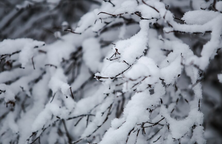 Снежный резерв. В Москве прошел первый в сезоне снегопад 5 фото