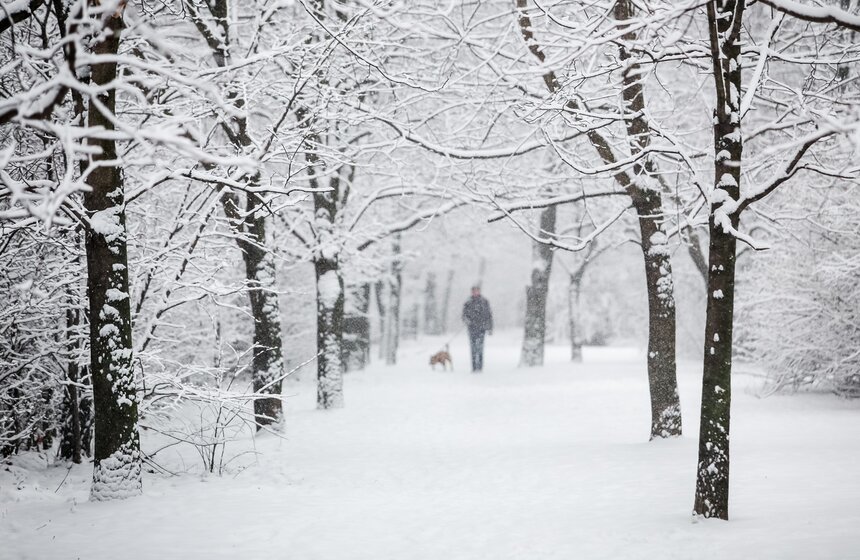 Снежный резерв. В Москве прошел первый в сезоне снегопад 11 фото