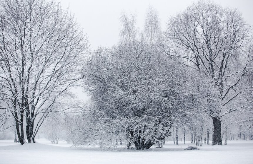 Снежный резерв. В Москве прошел первый в сезоне снегопад 10 фото