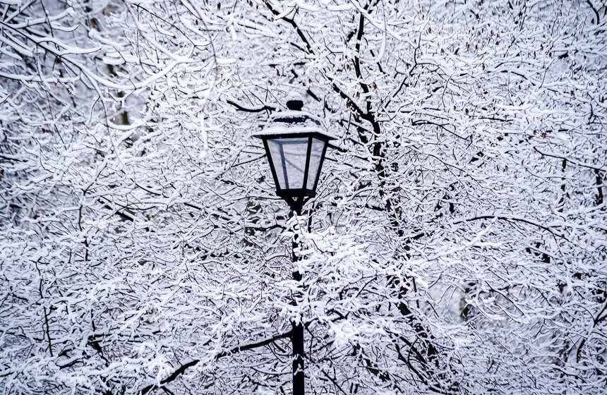 Снежный резерв. В Москве прошел первый в сезоне снегопад 2 фото