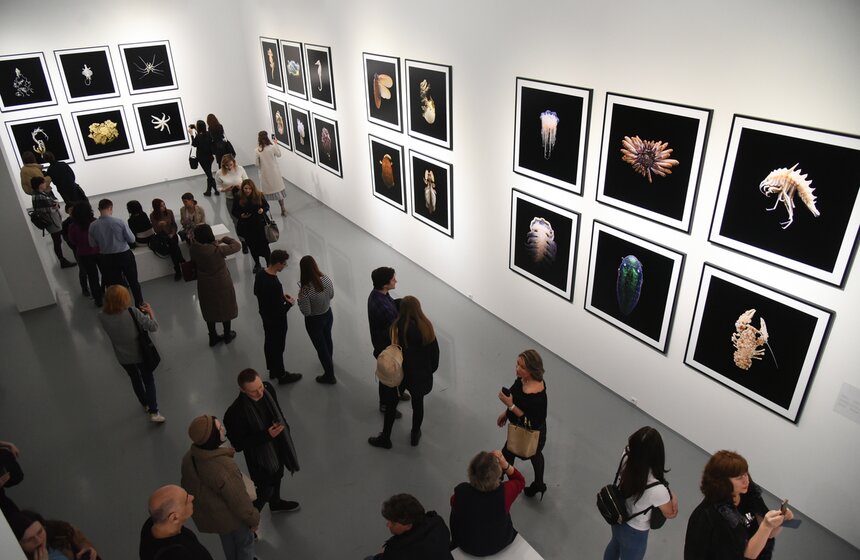 В МАММ состоялось гала-открытие "Фотобиеннале-2020" 20 фото