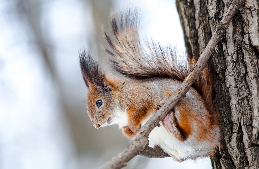 Мартовский снегопад в Москве 3 фото