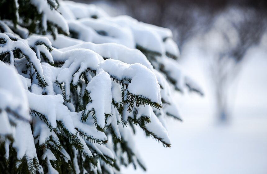 Мартовский снегопад в Москве 16 фото