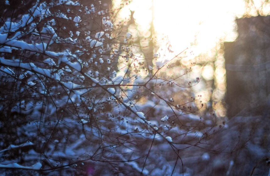 Мартовский снегопад в Москве 2 фото