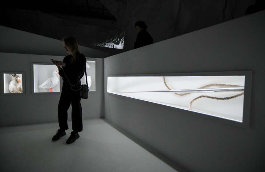 В Третьяковке открылась выставка "Русская сказка. От Васнецова до сих пор" 12 фото