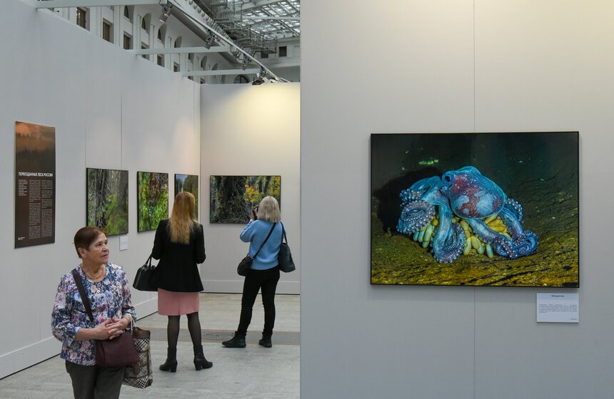 На фотографиях можно увидеть редких животных