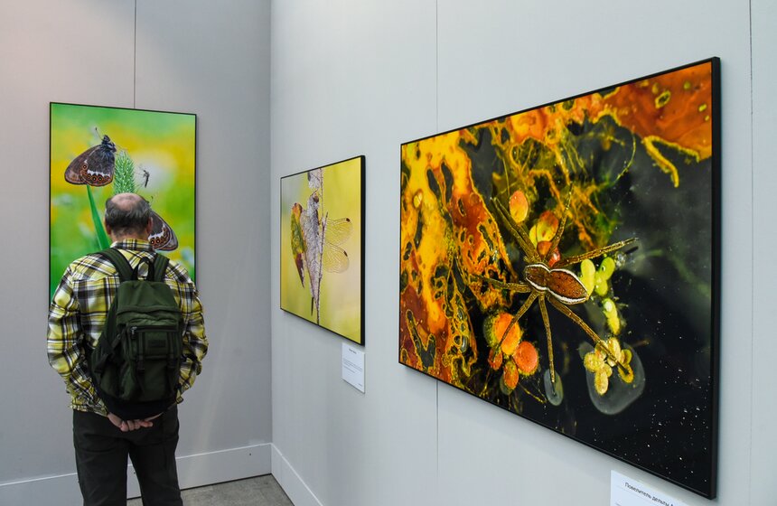 Выставка удивляет разнообразием цветовой палитры природы